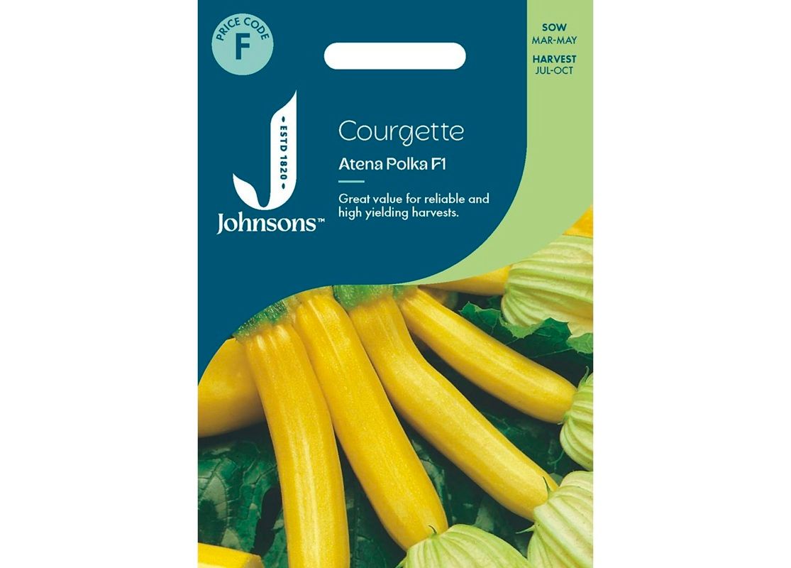 COURGETTE Atena Polka F1 COURGETTE Atena Polka F1