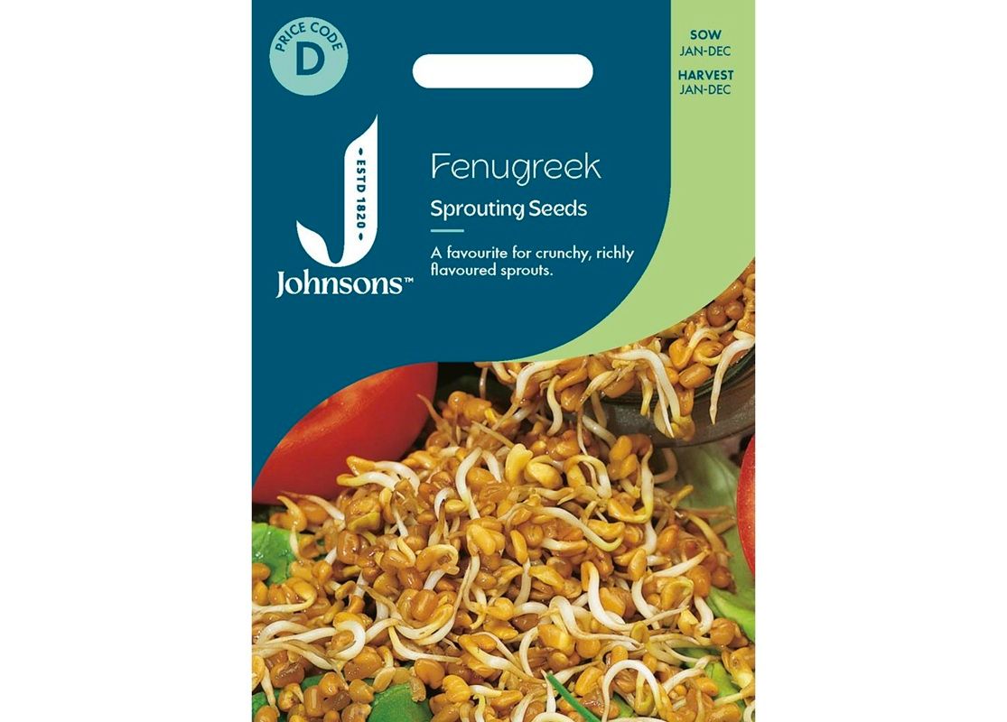 FENUGREEK Sprouting Seeds
