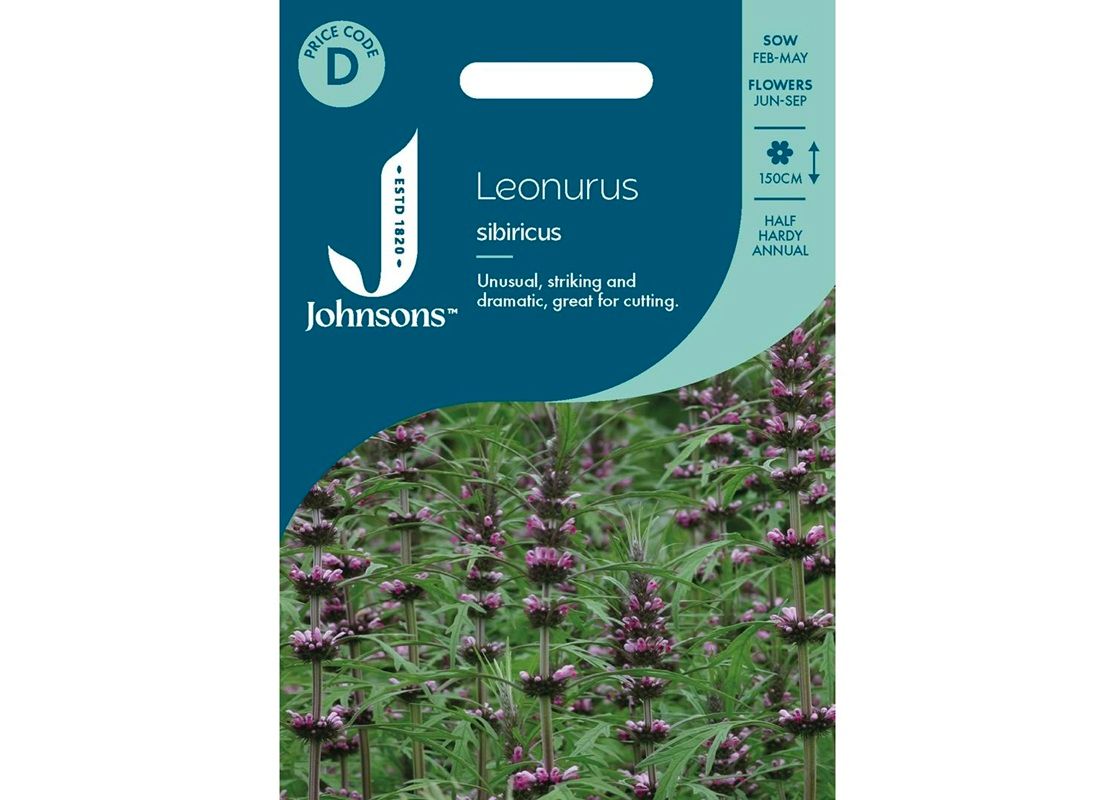 LEONURUS sibiricus LEONURUS sibiricus