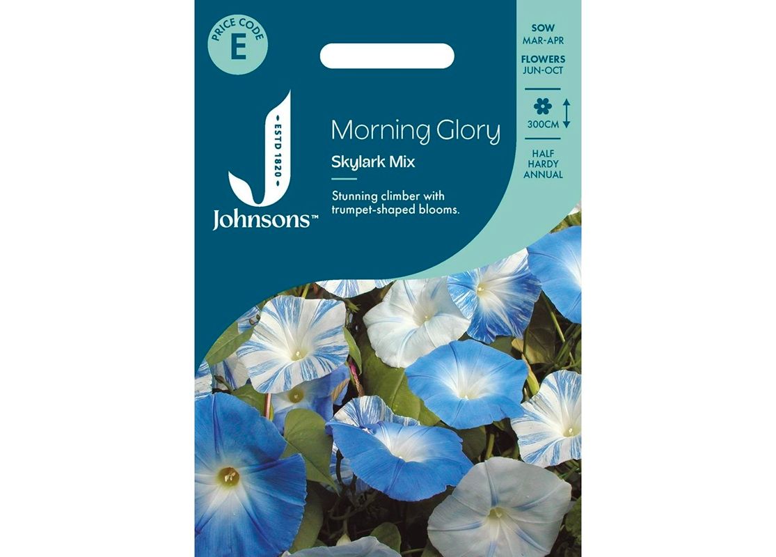 MORNING GLORY Skylark Mix MORNING GLORY Skylark Mix