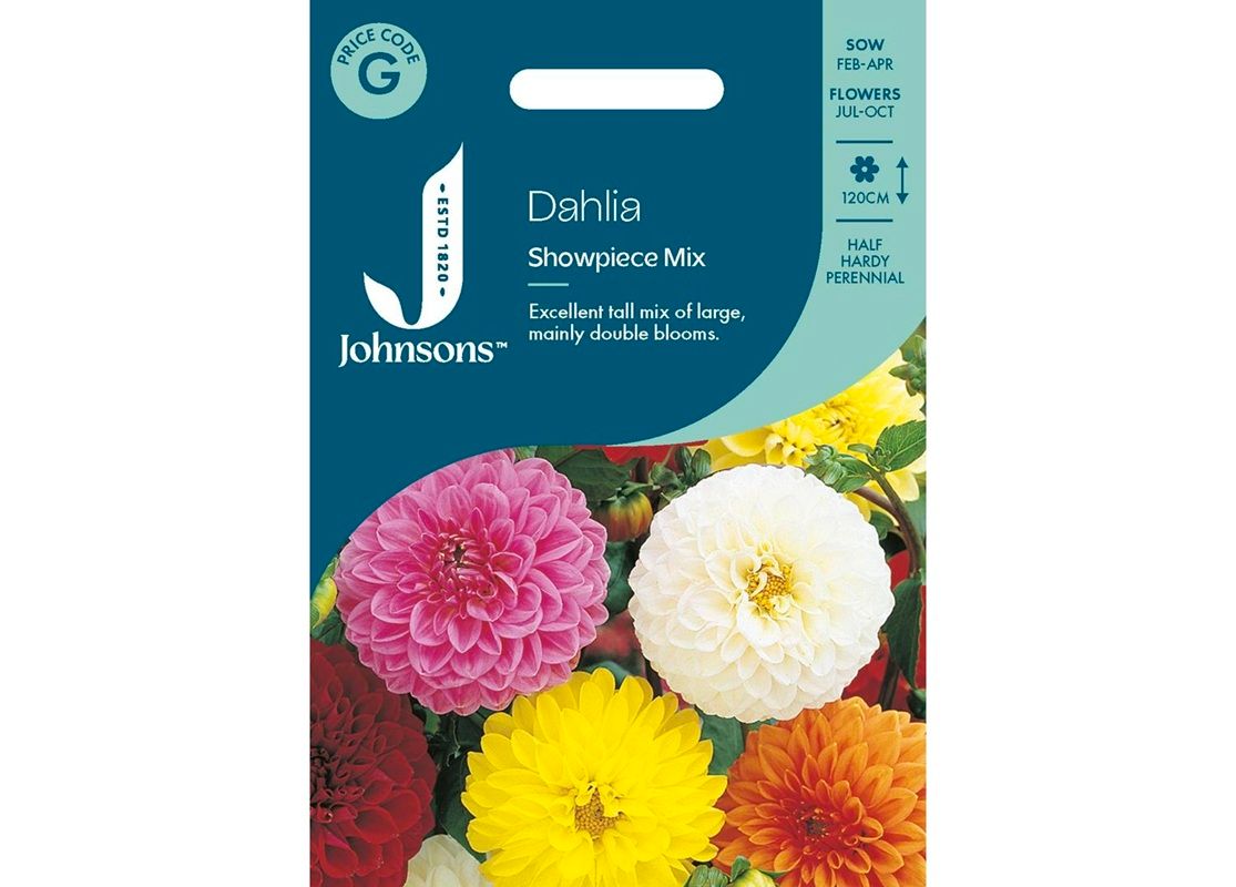 DAHLIA Showpiece Mix