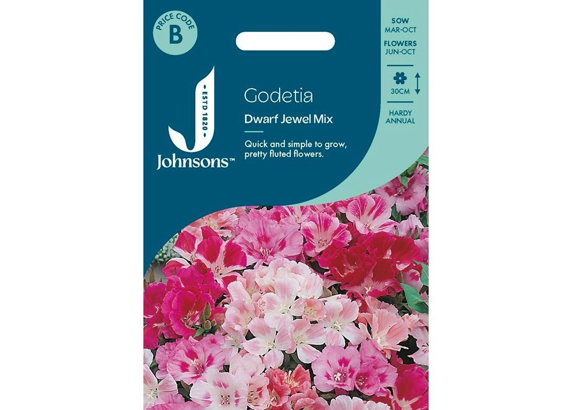 GODETIA Dwarf Jewel Mix