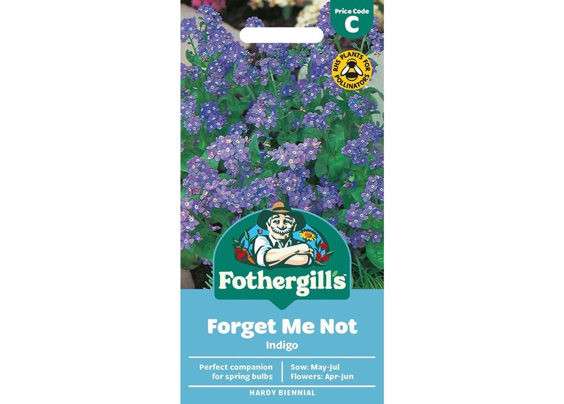 FORGET ME NOT Indigo FORGET ME NOT Indigo