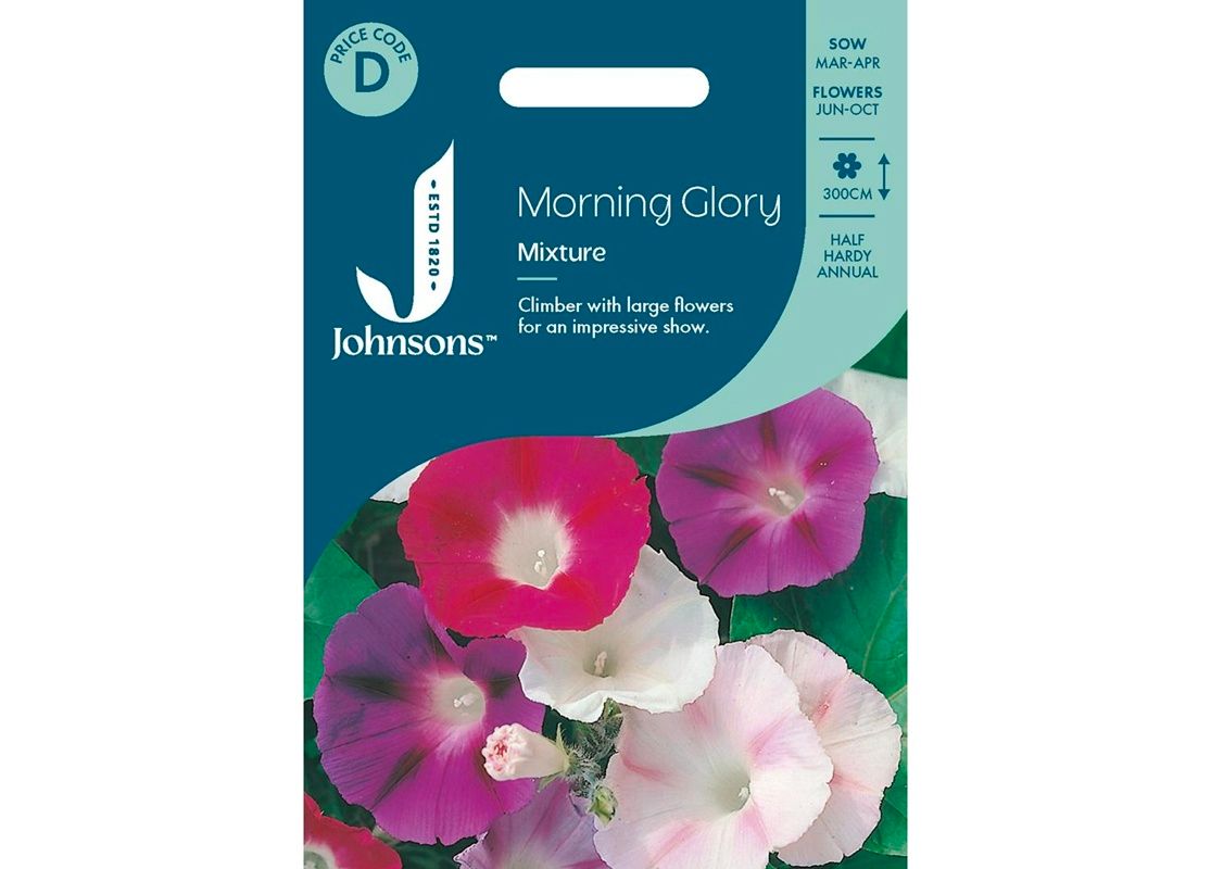 MORNING GLORY Mixture