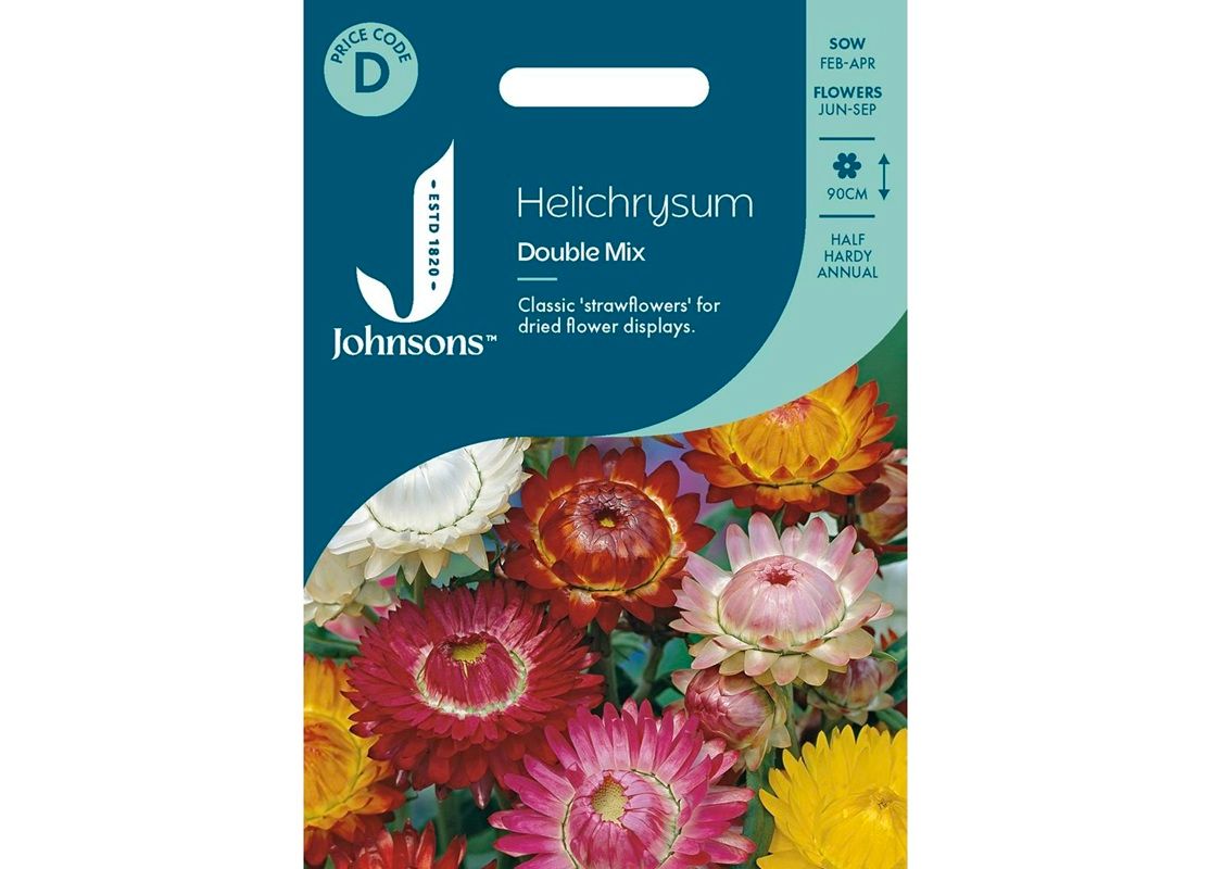 HELICHRYSUM Double Mix