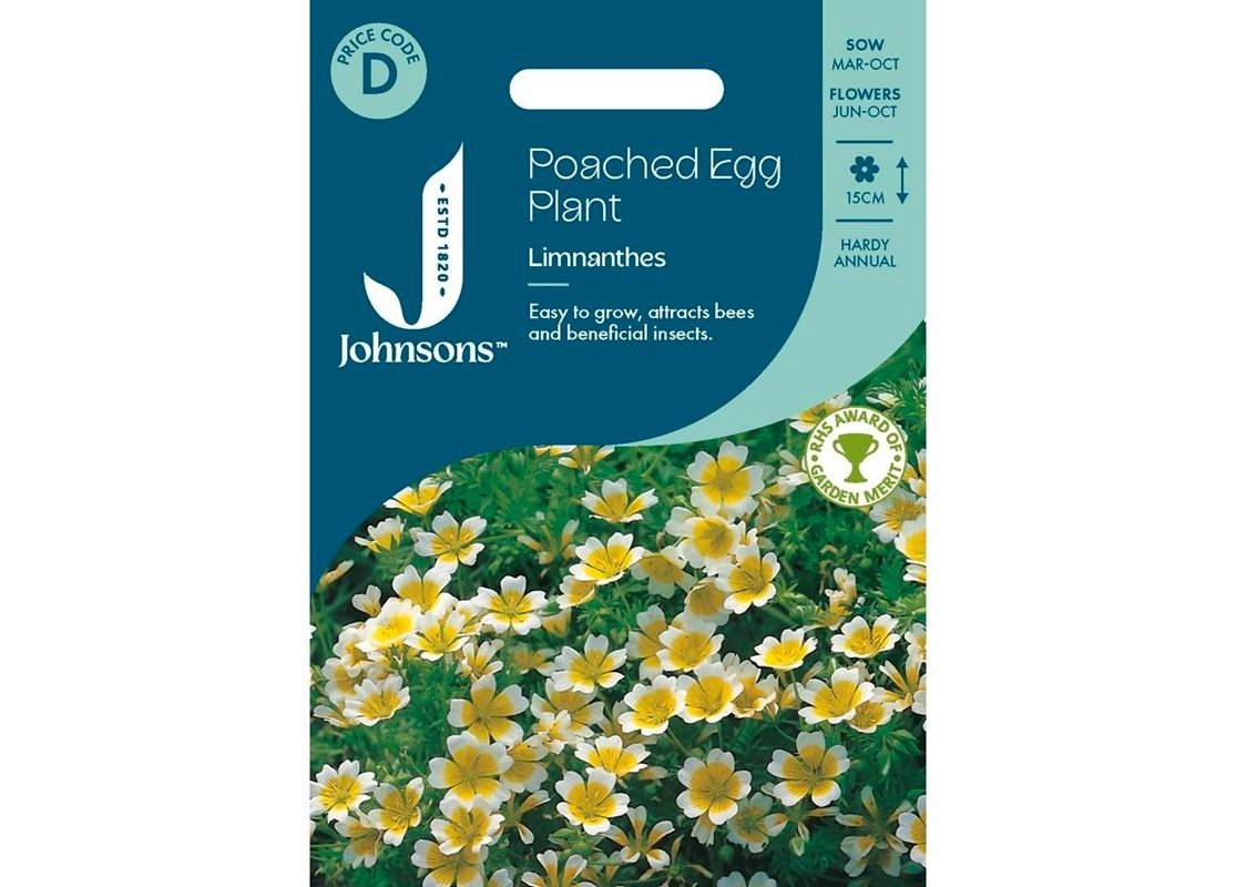 POACHED EGG PLANT - Limnanthes