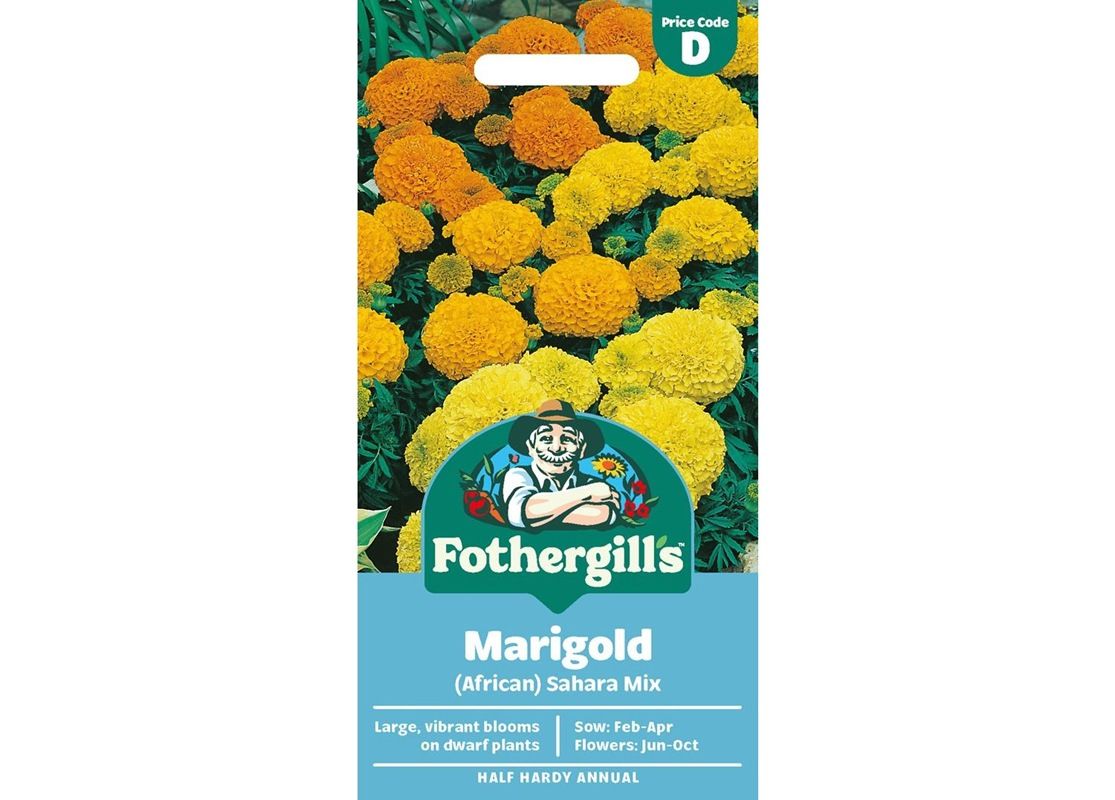 MARIGOLD (African) Sahara Mix MARIGOLD (African) Sahara Mix