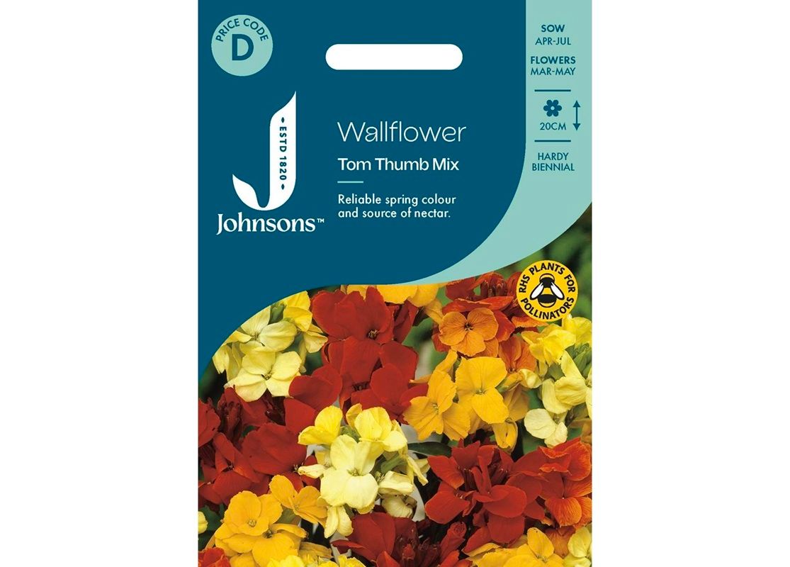 WALLFLOWER Tom Thumb Mix