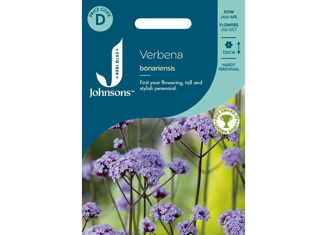 VERBENA bonariensis VERBENA bonariensis