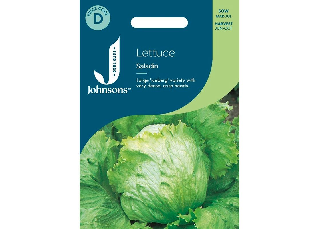 LETTUCE Saladin LETTUCE Saladin