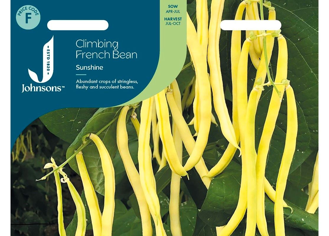 CLIMBING FRENCH BEAN Sunshine 