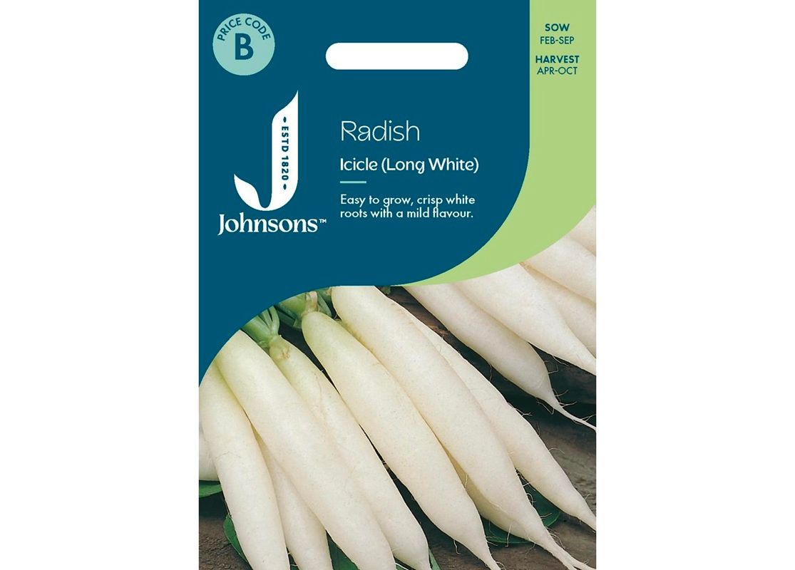 RADISH Icicle (Long White)