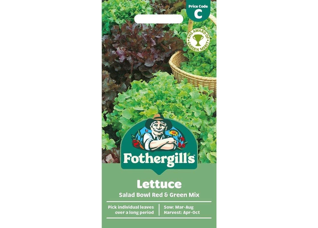 LETTUCE Salad Bowl Red & Green Mix LETTUCE Salad Bowl Red & Green Mix