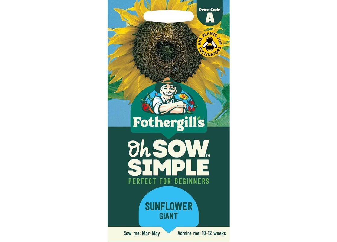 SUNFLOWER Giant Single SUNFLOWER Giant Single