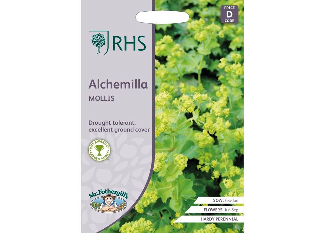 RHS ALCHEMILLA mollis