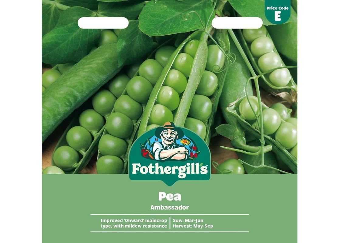 PEA Ambassador PEA Ambassador