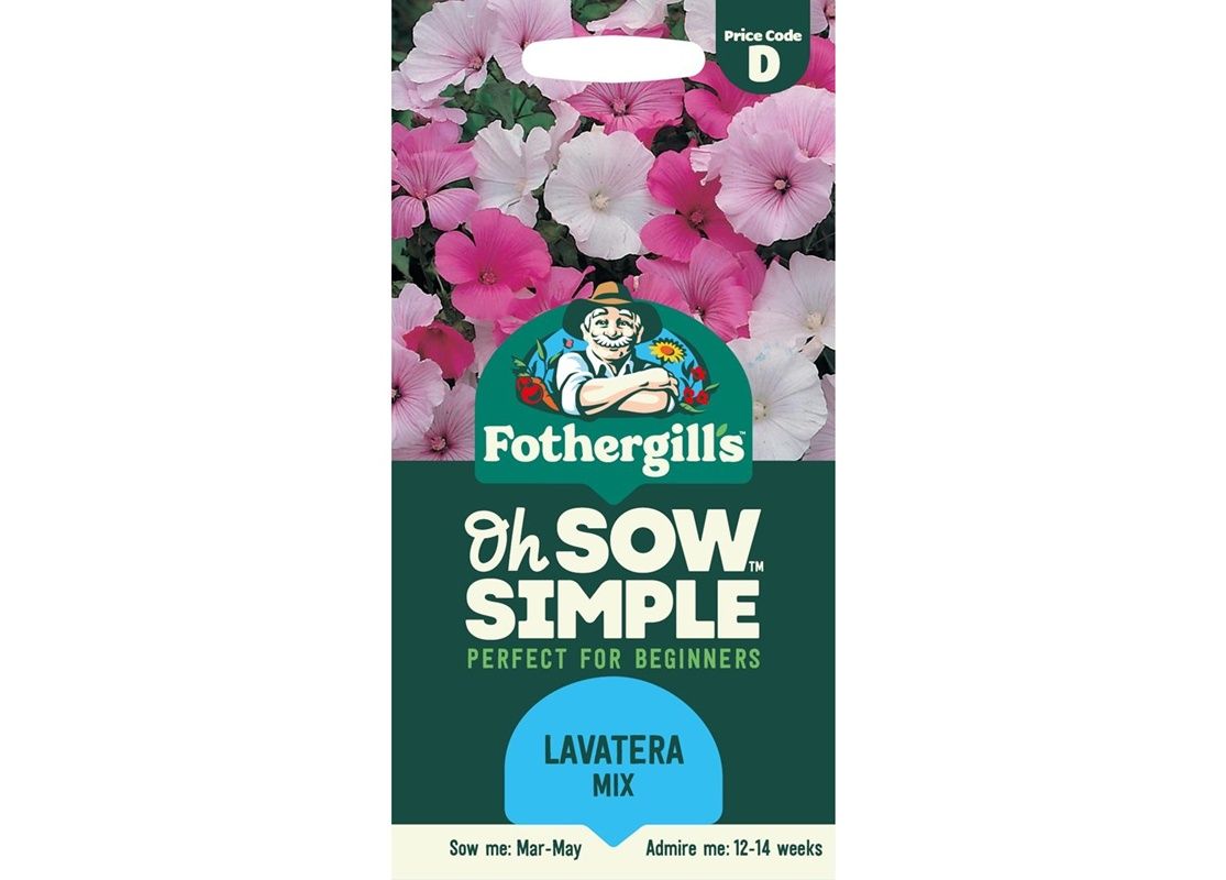 LAVATERA Parade Mixed LAVATERA Parade Mixed