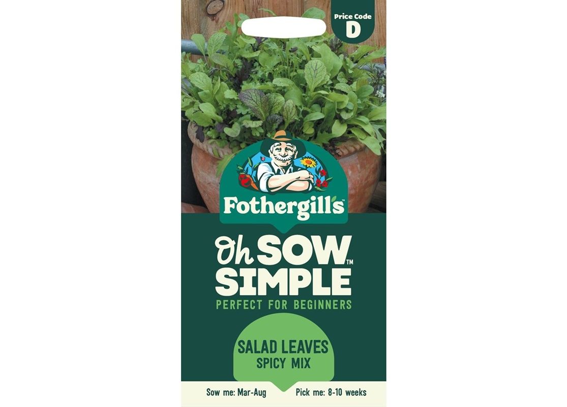 MIXED Spicy Salad Leaves