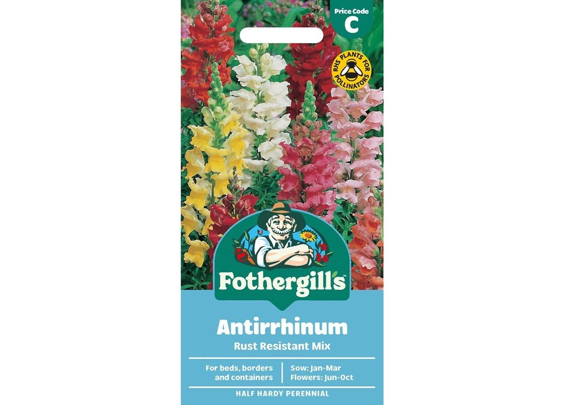ANTIRRHINUM Rust Resistant Mix