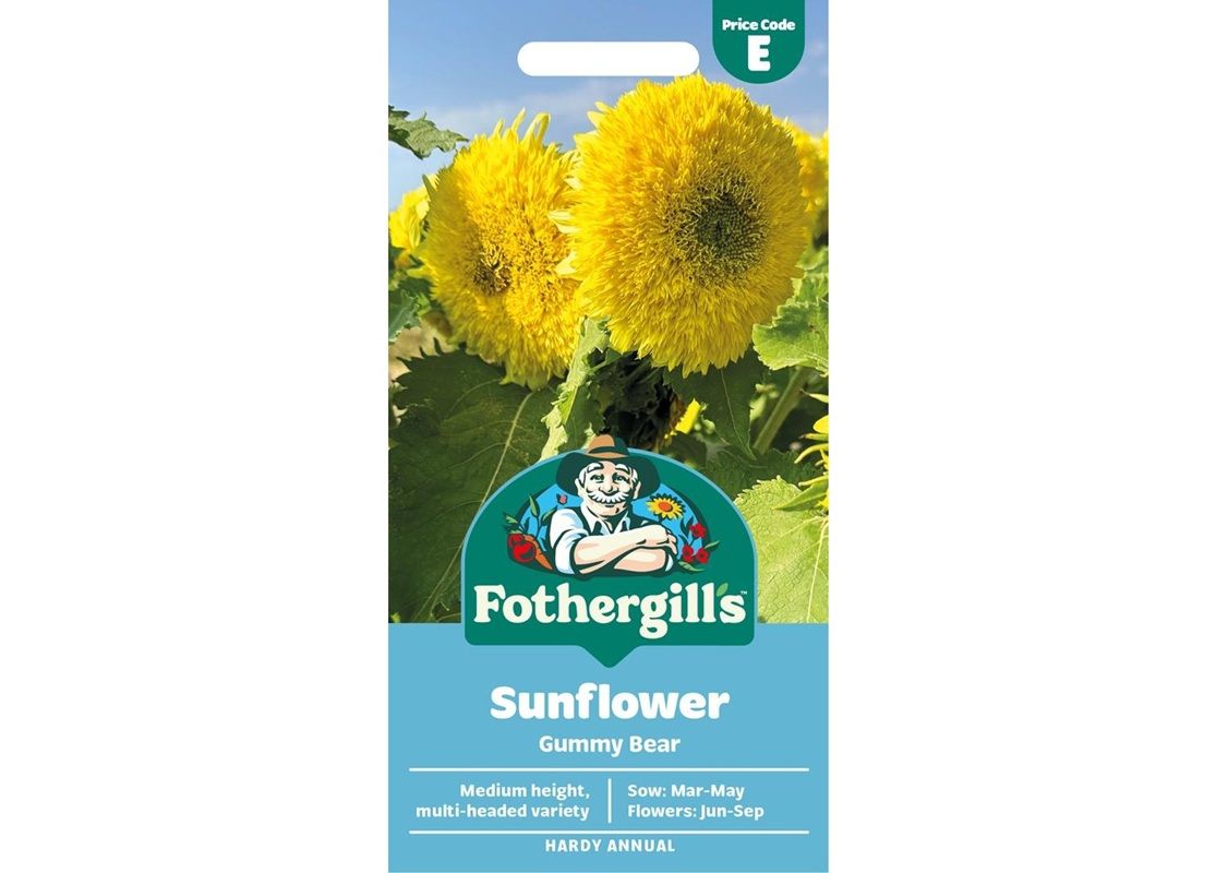 SUNFLOWER Gummy Bear SUNFLOWER Gummy Bear