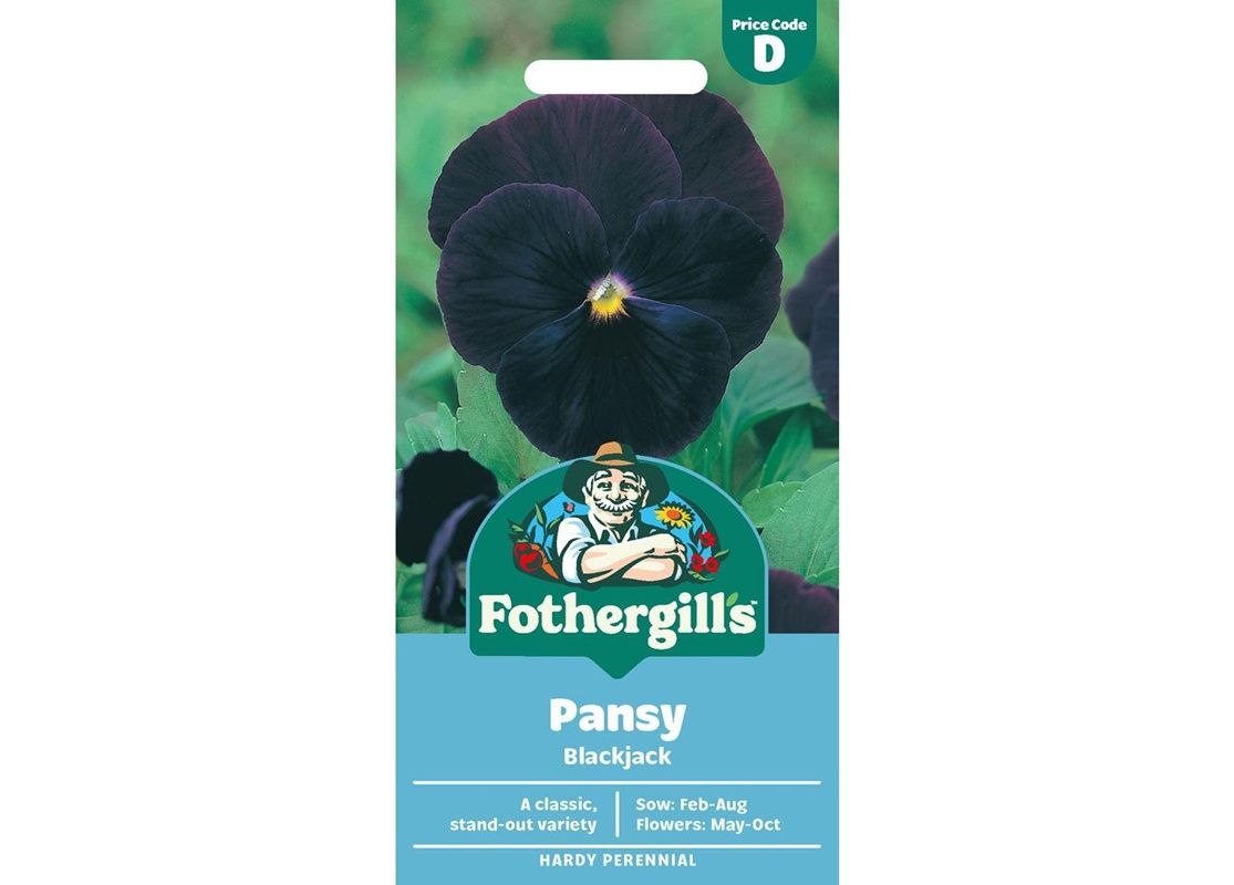 PANSY Blackjack PANSY Blackjack