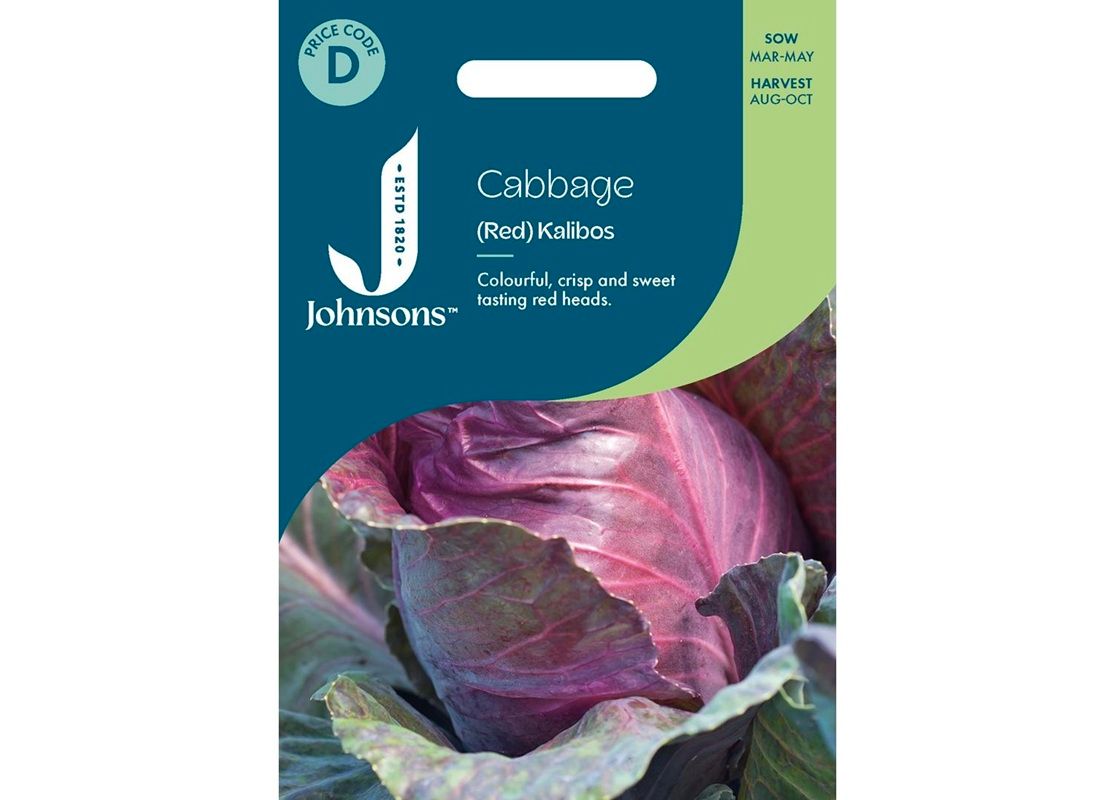 CABBAGE (Red) Kalibos