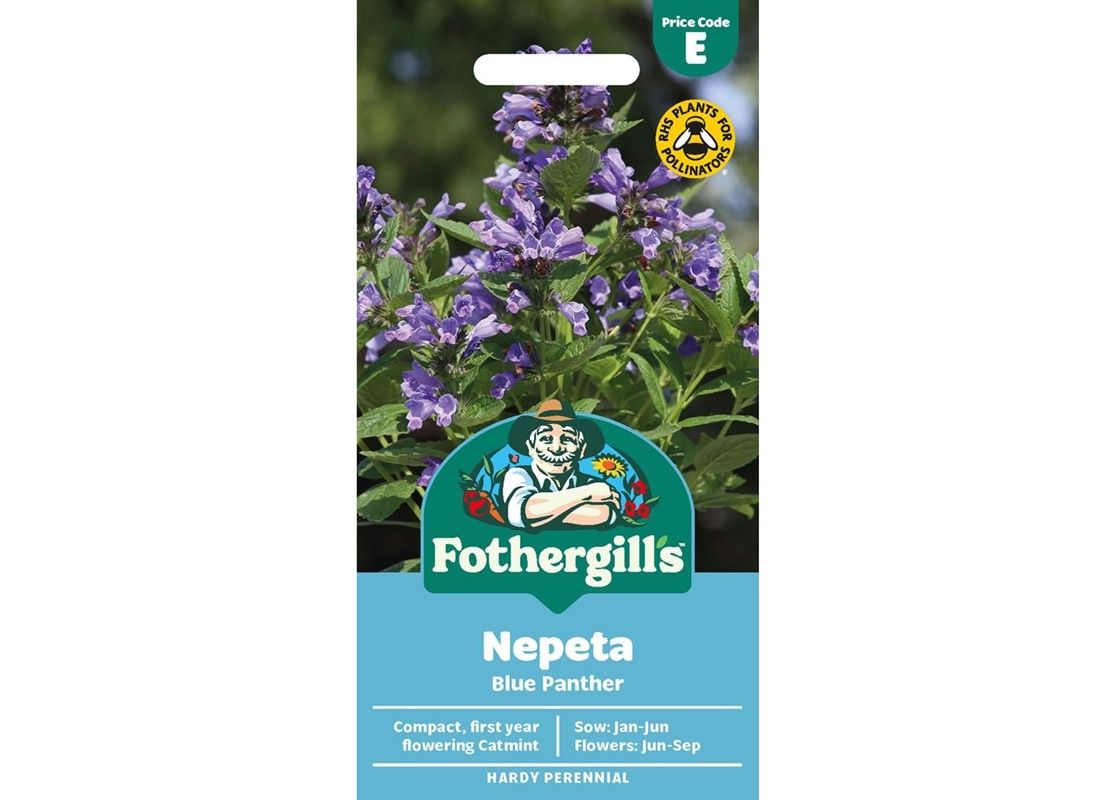 NEPETA Blue Panther