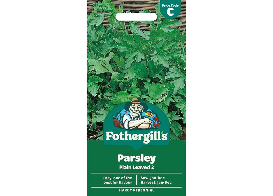 PARSLEY Plain Leaved 2