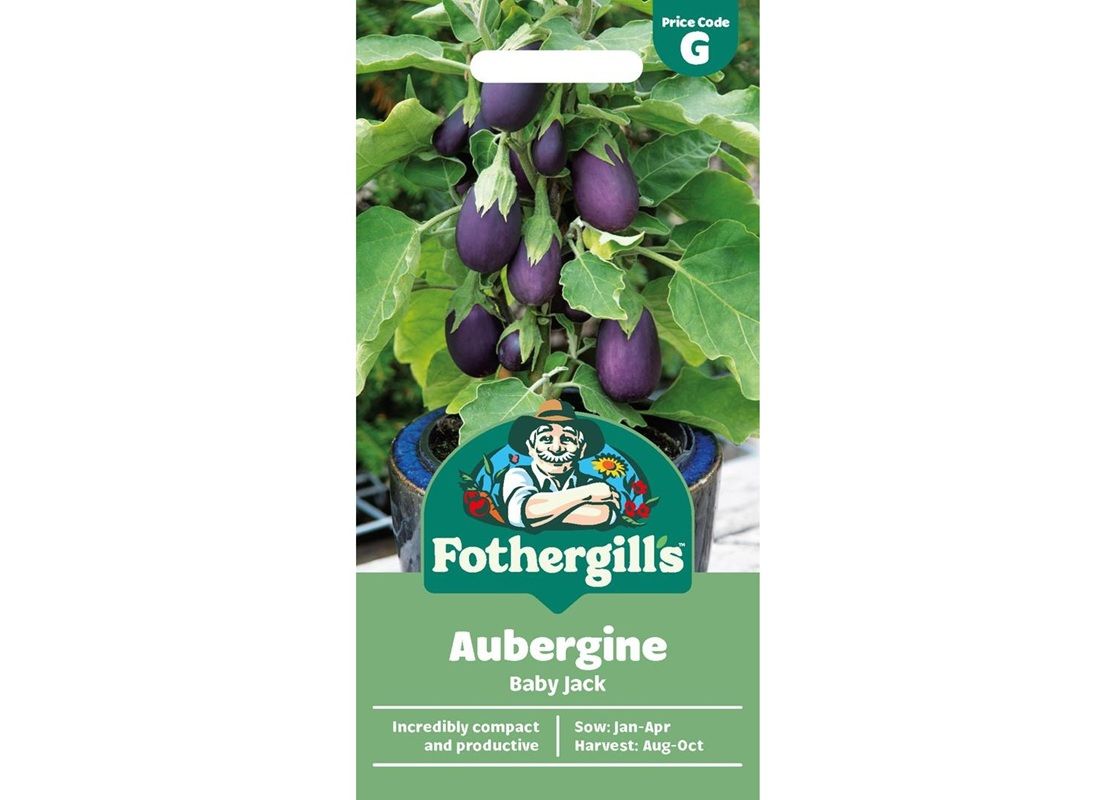 AUBERGINE Baby Jack