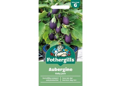 AUBERGINE Baby Jack