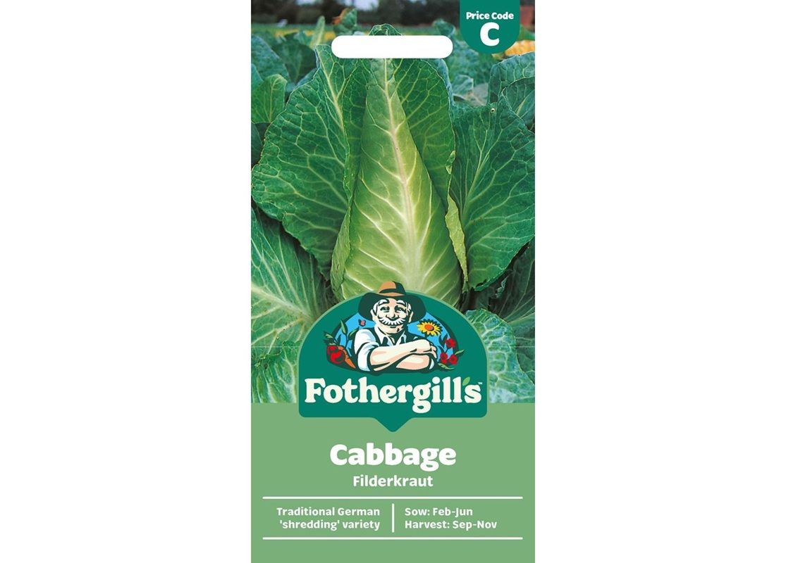 CABBAGE Filderkraut
