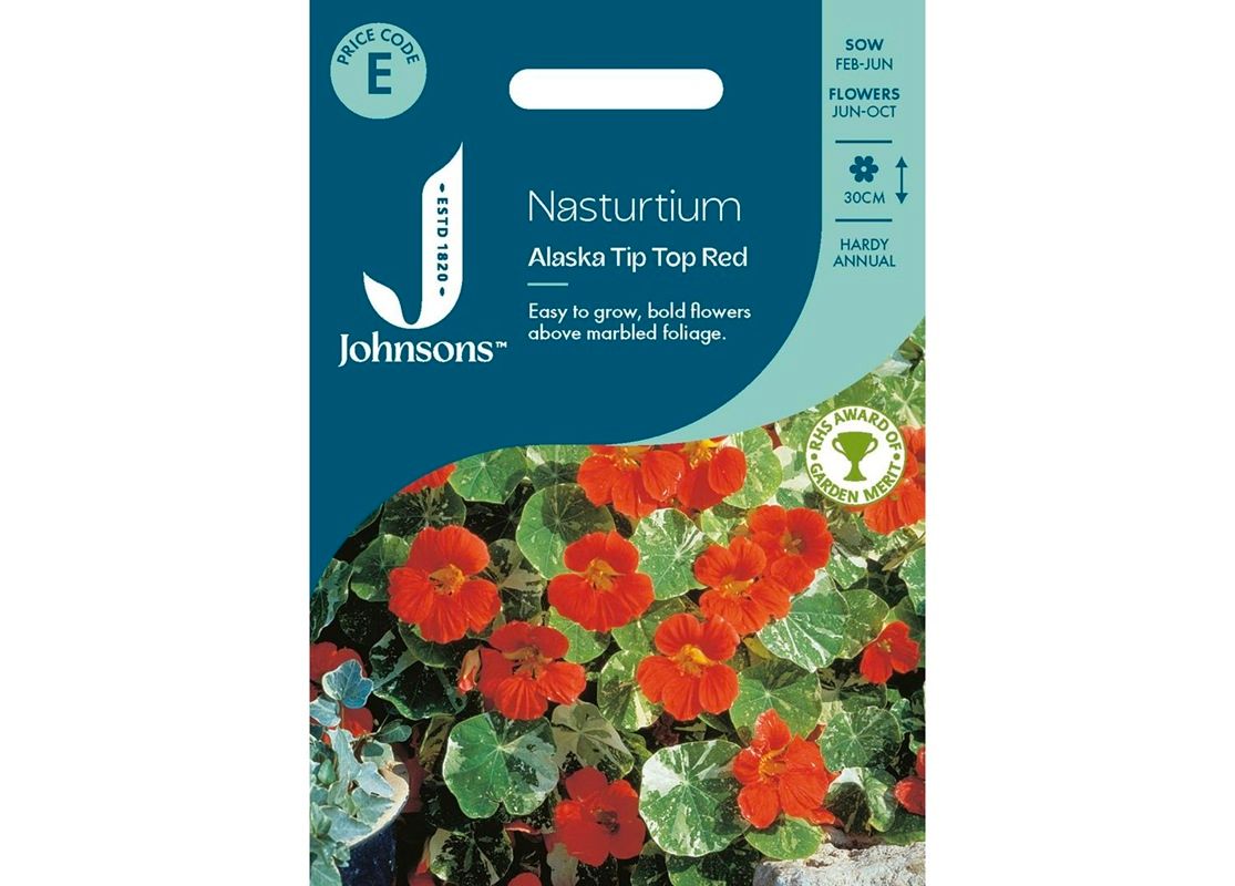NASTURTIUM Alaska Tip Top Red