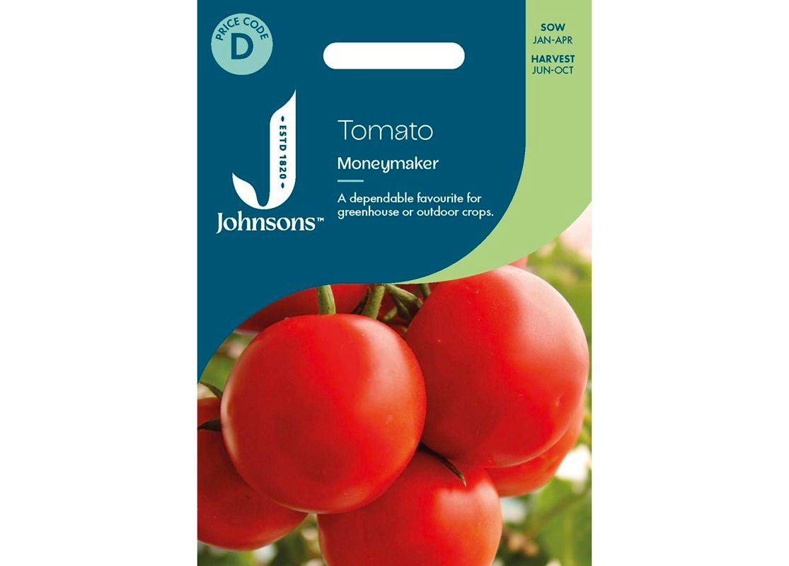 TOMATO Moneymaker