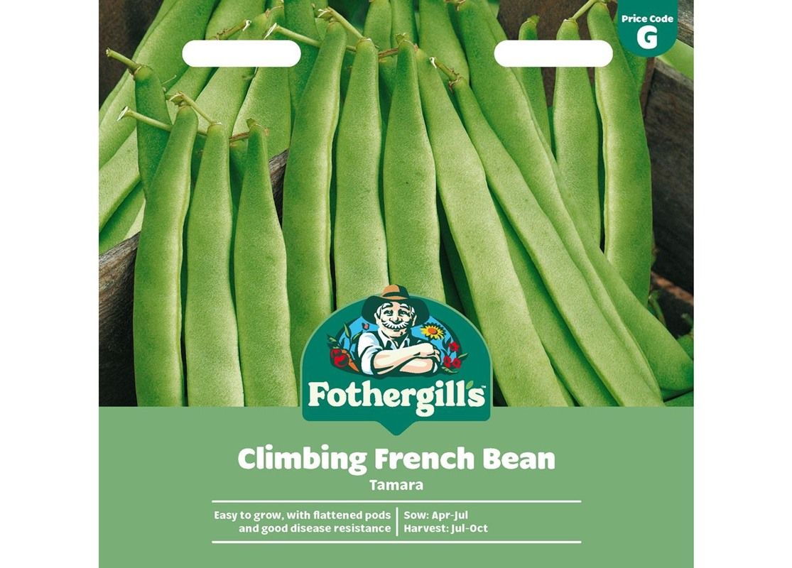 CLIMBING FRENCH BEAN Tamara CLIMBING FRENCH BEAN Tamara