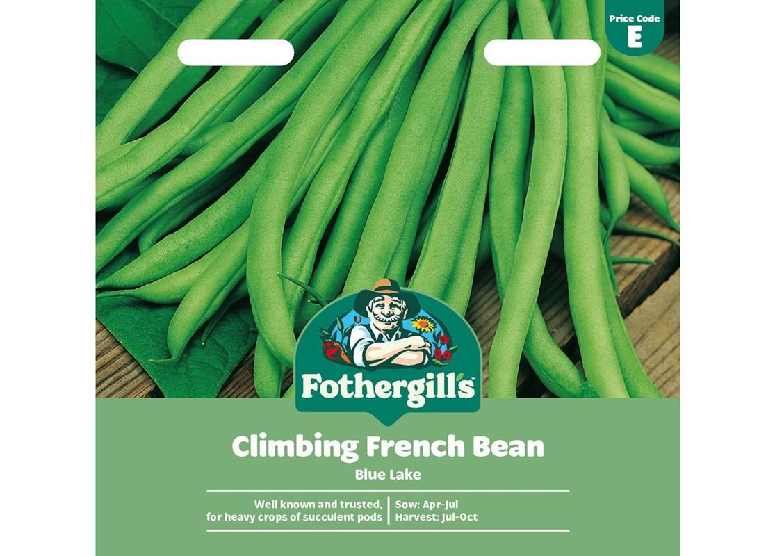 CLIMBING FRENCH BEAN Blue Lake