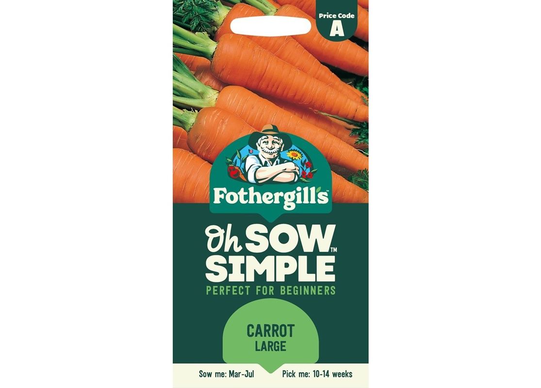 CARROT Autumn King 2