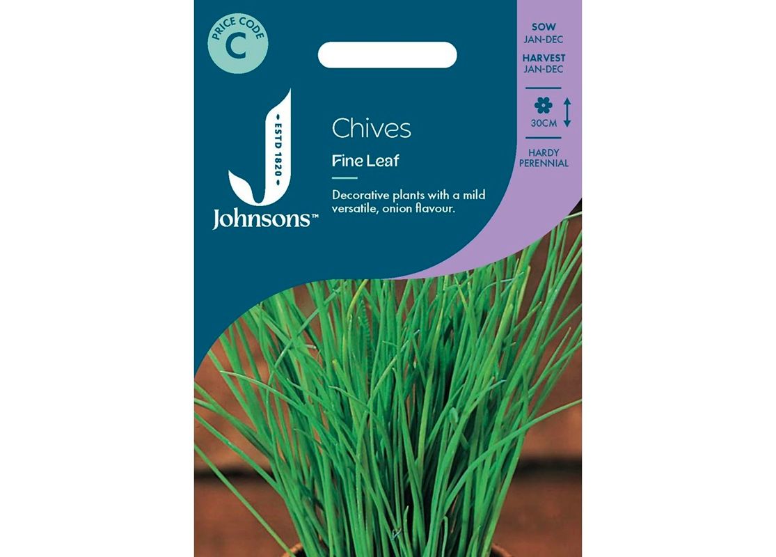 CHIVES Fine Leaf