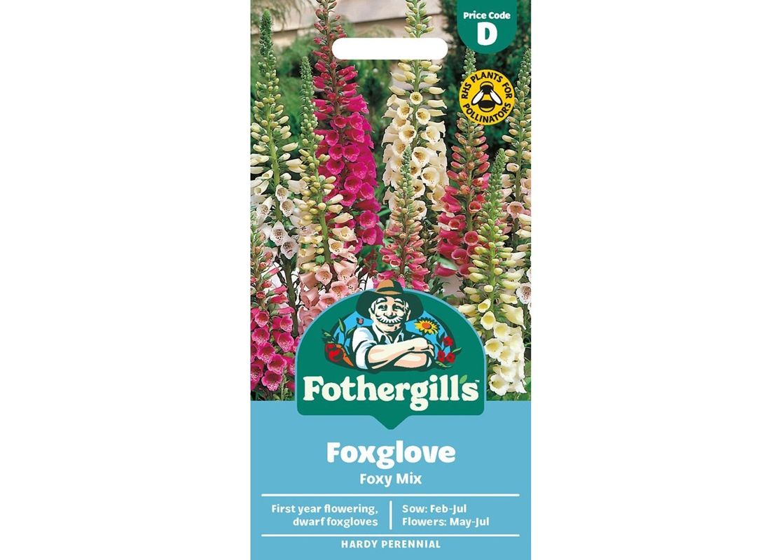 FOXGLOVE Foxy Mix FOXGLOVE Foxy Mix
