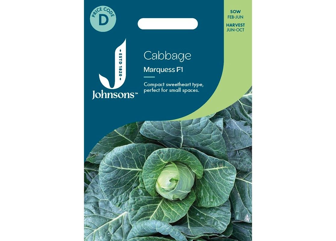 CABBAGE Marquess F1