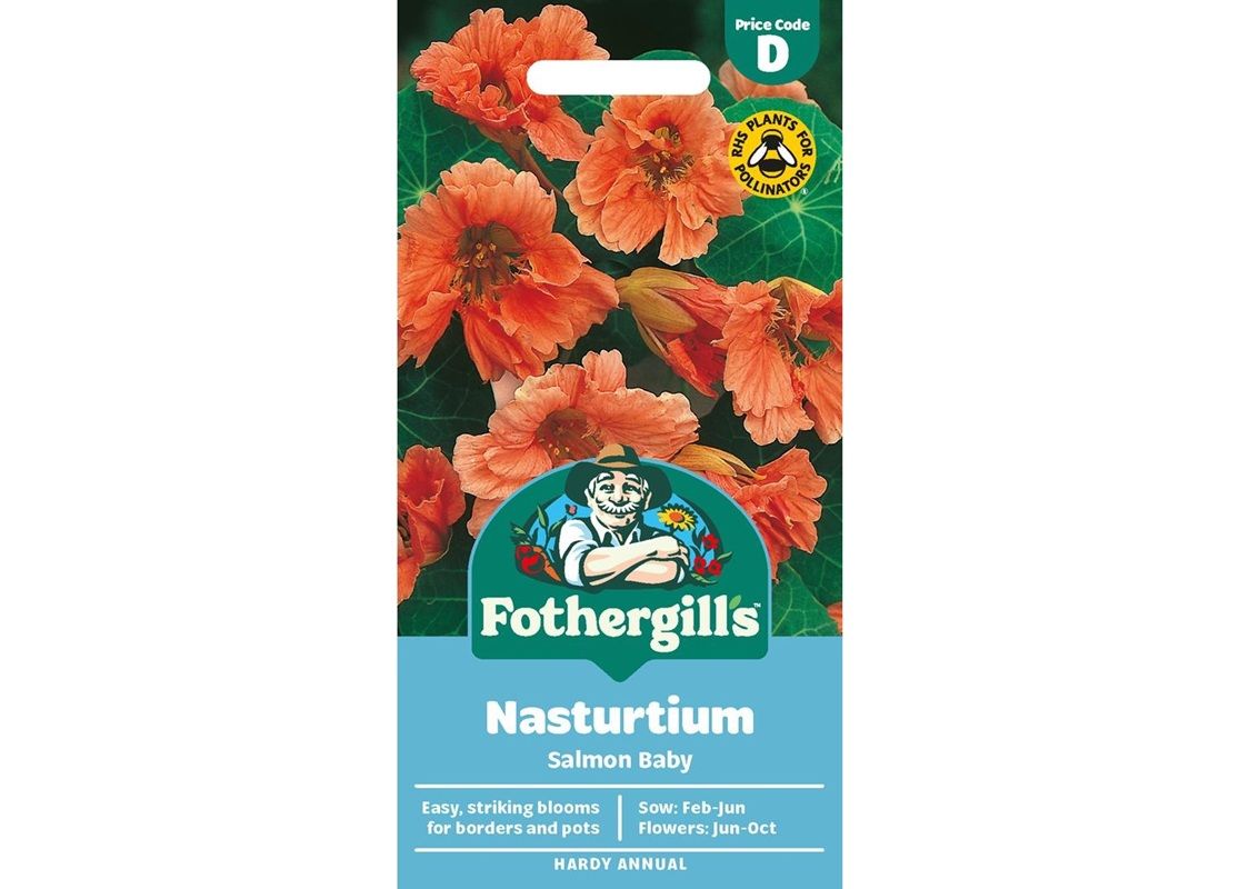 NASTURTIUM Salmon Baby NASTURTIUM Salmon Baby