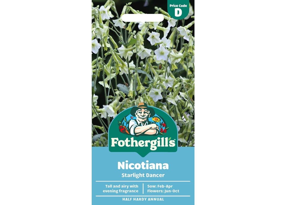 NICOTIANA Starlight Dancer