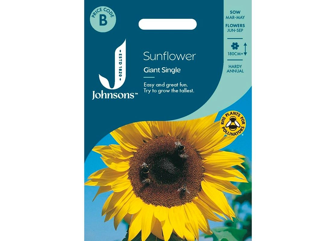 SUNFLOWER Giant Single SUNFLOWER Giant Single
