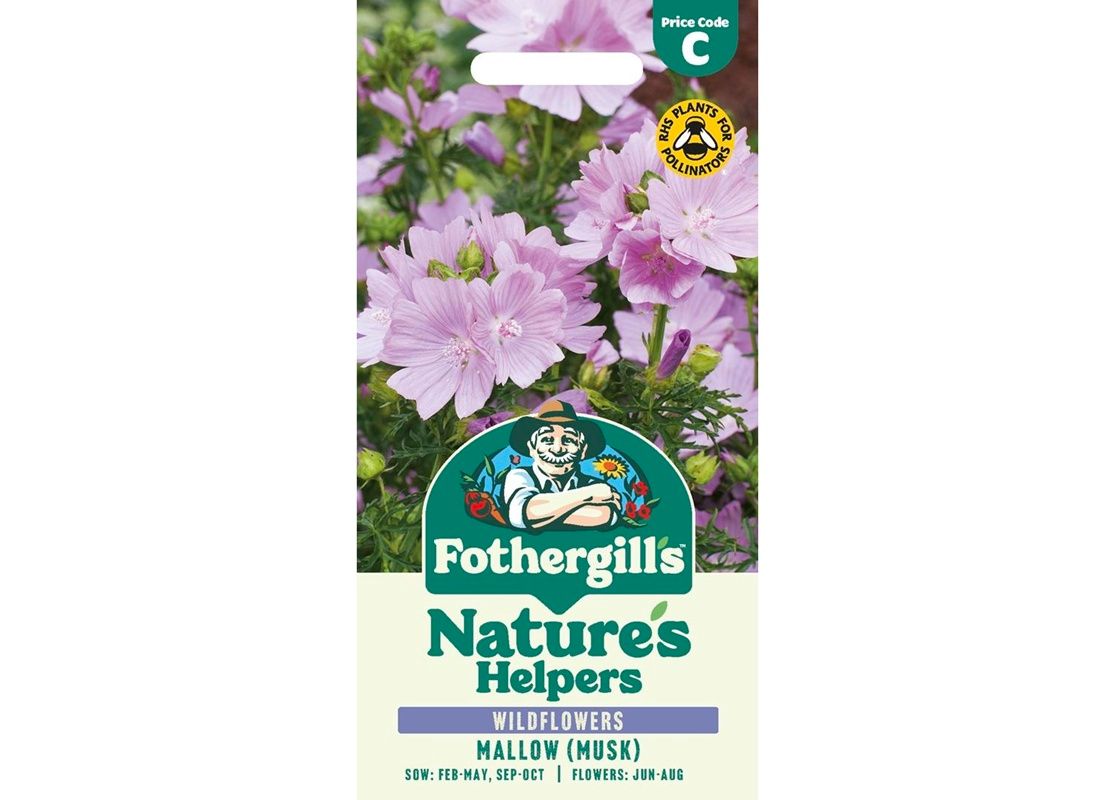 Mallow (Musk)