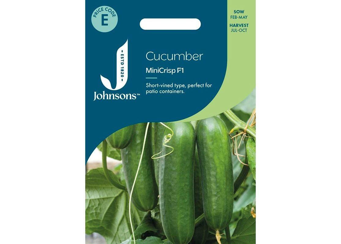CUCUMBER MiniCrisp F1
