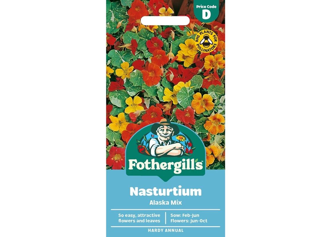 NASTURTIUM Alaska Mix