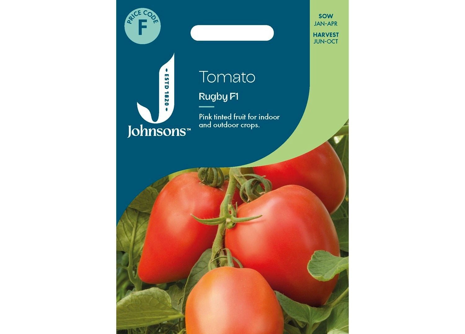 TOMATO Rugby F1 TOMATO Rugby F1