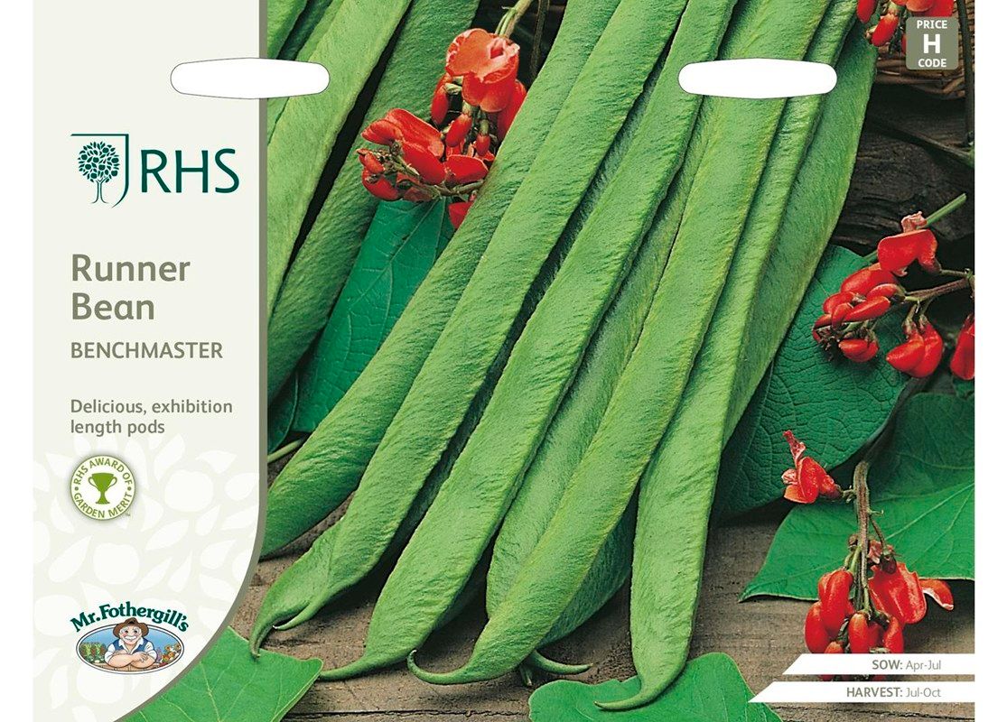 RHS RUNNER BEAN Benchmaster RHS RUNNER BEAN Benchmaster