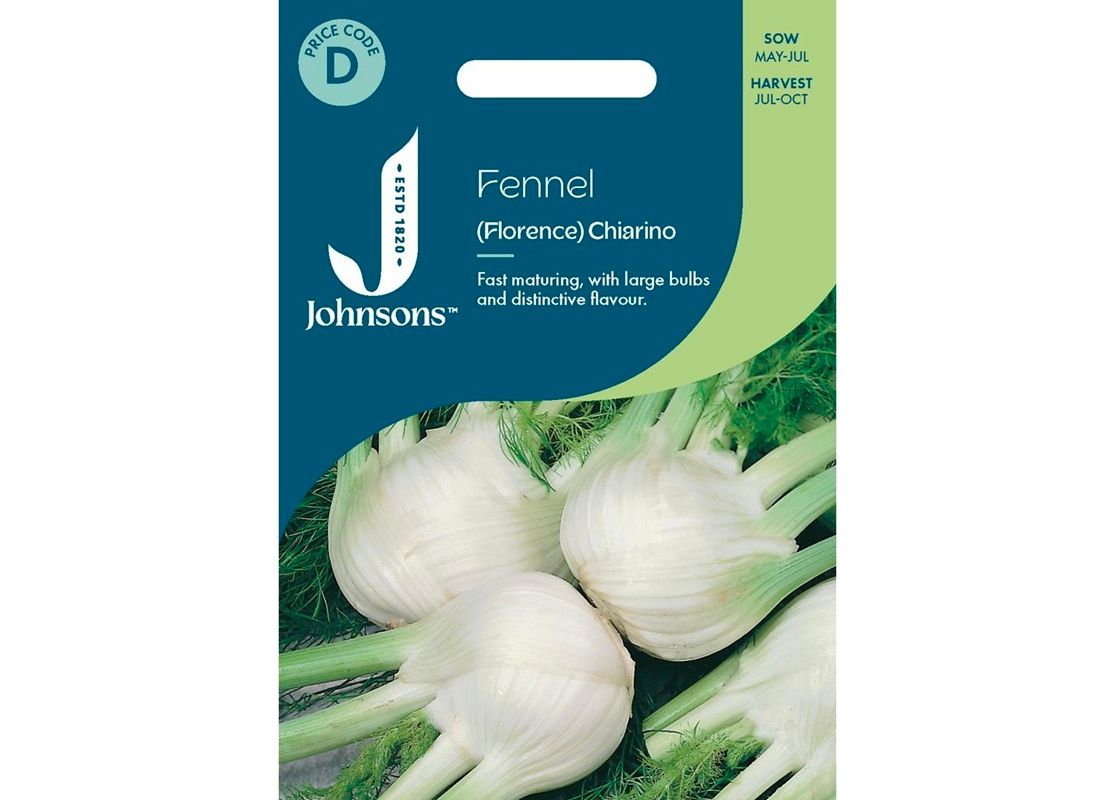 FENNEL (Florence) Chiarino