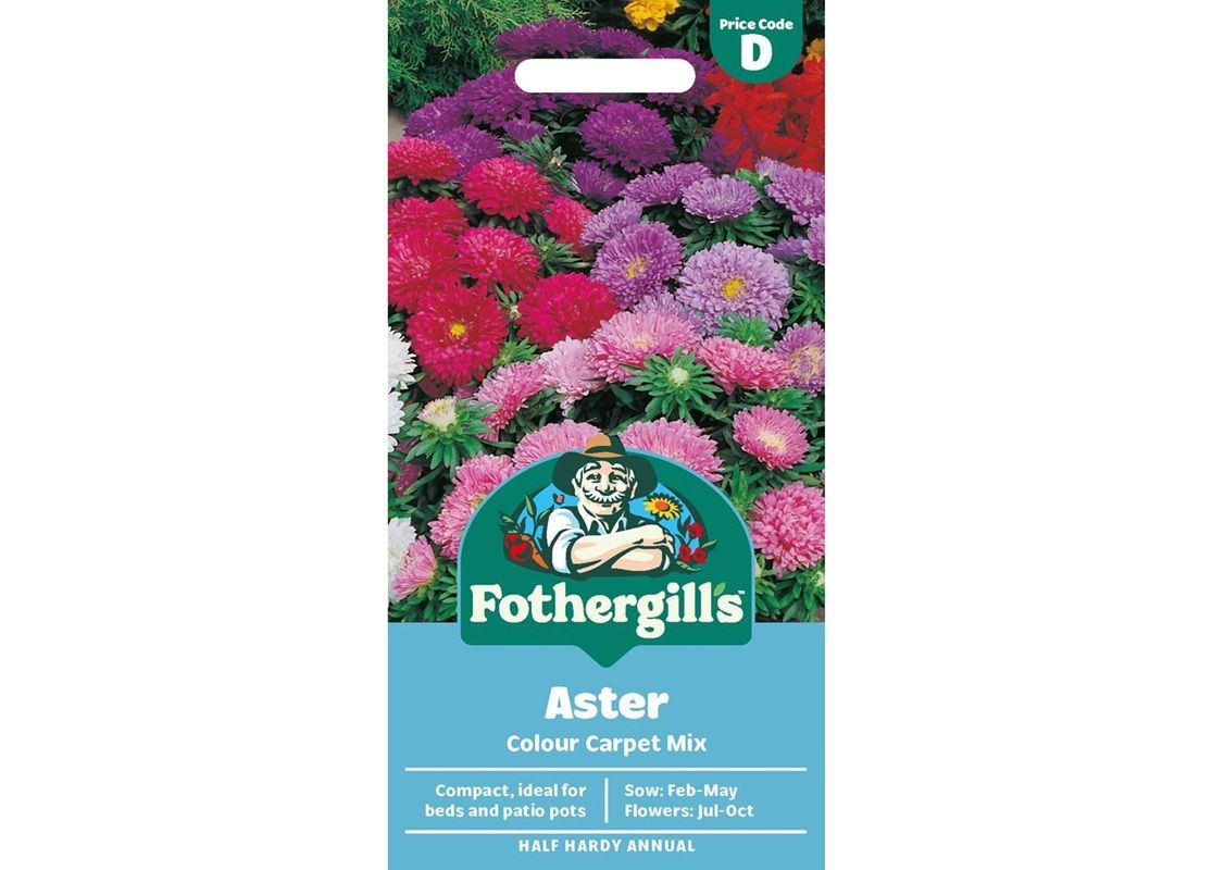 ASTER Colour Carpet Mix