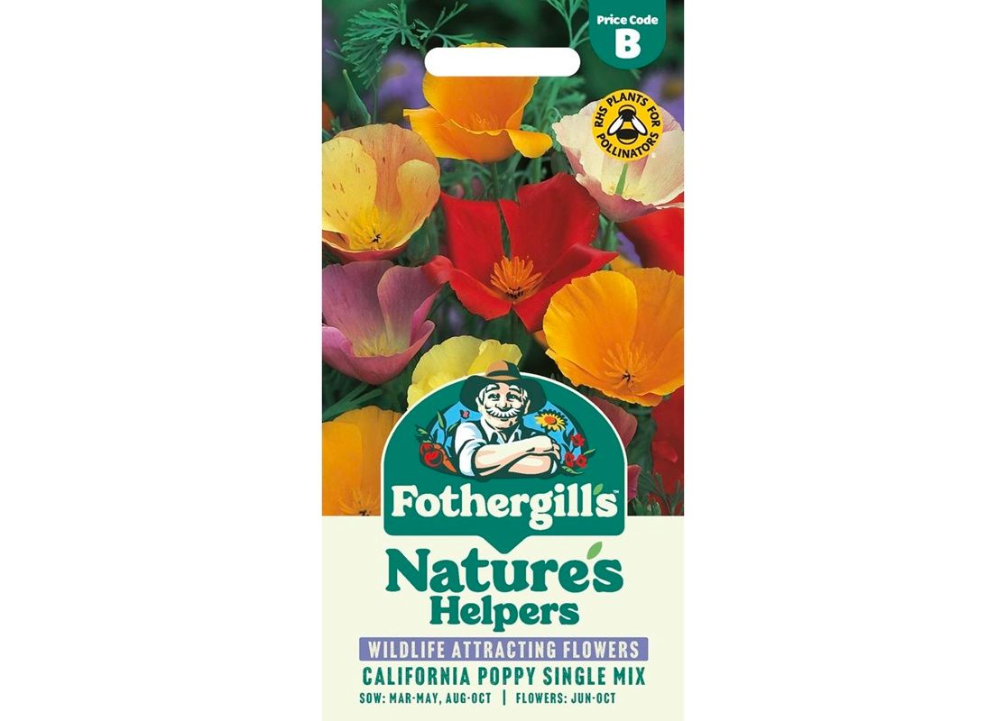 CALIFORNIAN POPPY Single Mix